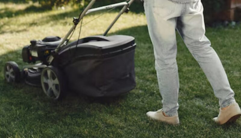 Felbéreltem egy tinédzsert, hogy nyírja a gyepet a nyárra – Aztán megtudtam, miért az én kertemet választotta